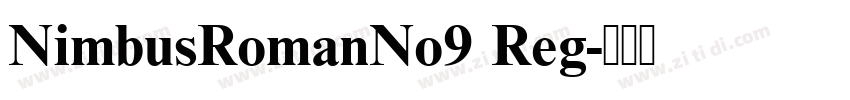 NimbusRomanNo9 Reg字体转换